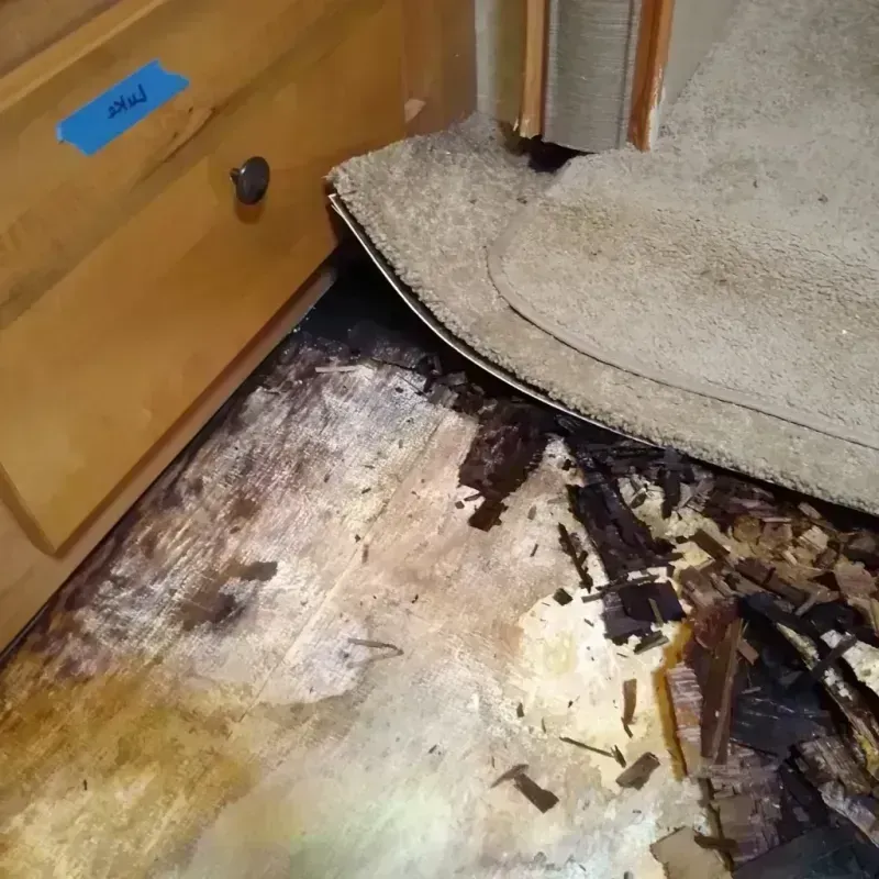 Wood Floor Water Damage in South Chicago, IL